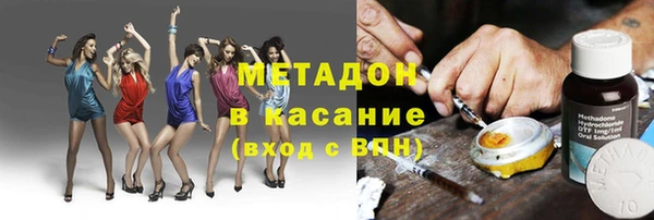 прущие грибы Гусиноозёрск