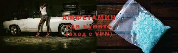 прущие грибы Гусиноозёрск