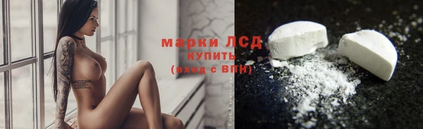 прущие грибы Гусиноозёрск