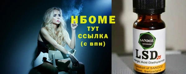 прущие грибы Гусиноозёрск