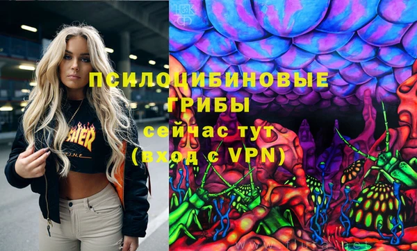 COCAINE Гусев