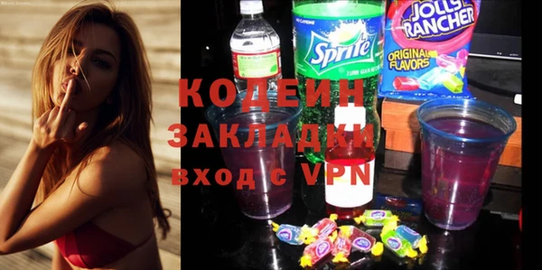 прущие грибы Гусиноозёрск
