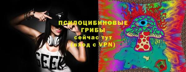прущие грибы Гусиноозёрск