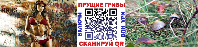 Псилоцибиновые грибы MAGIC MUSHROOMS  закладка  Задонск 